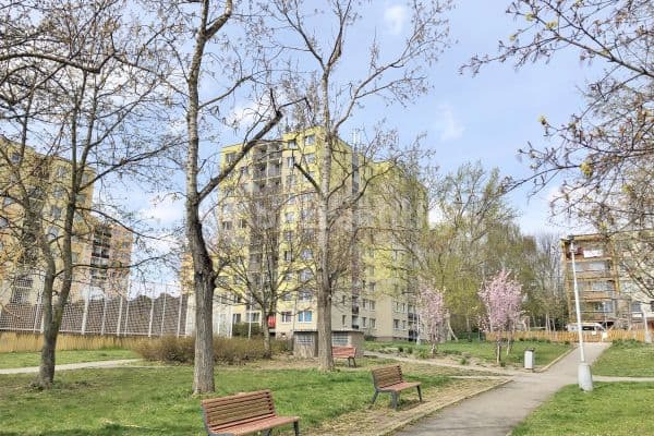 2 bedroom with open-plan kitchen flat to rent, 65 m², Kocianova, Praha 2 bedroom with open-plan kitchen flat to rent, 65 m², Kocianova, Praha
