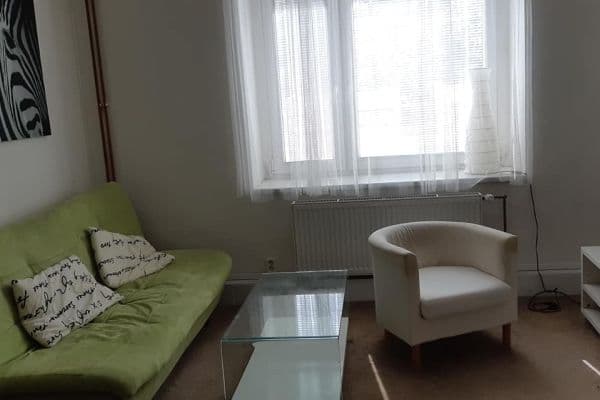 1 bedroom with open-plan kitchen flat to rent, 44 m², Škroupova, Brno 1 bedroom with open-plan kitchen flat to rent, 44 m², Škroupova, Brno