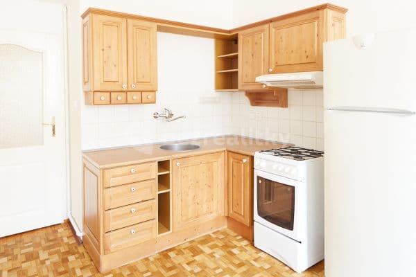 1 bedroom with open-plan kitchen flat to rent, 44 m², Mahenova, Hlavní město Praha