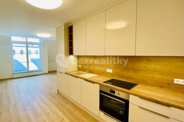 1 bedroom with open-plan kitchen flat to rent, 61 m², Šaldova, Hlavní město Praha 1 bedroom with open-plan kitchen flat to rent, 61 m², Šaldova, Hlavní město Praha