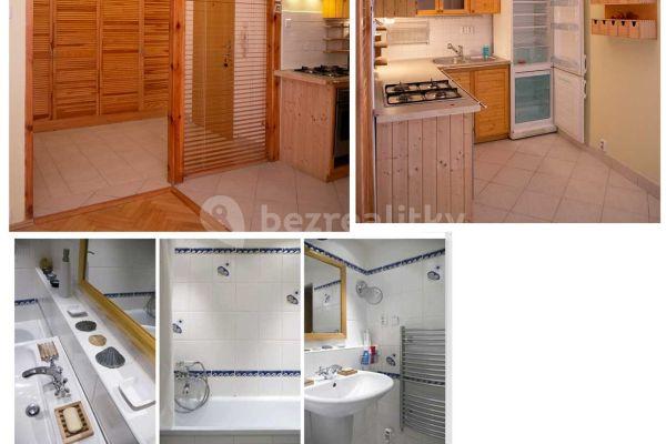 1 bedroom with open-plan kitchen flat to rent, 50 m², U Družstva Život, Praha