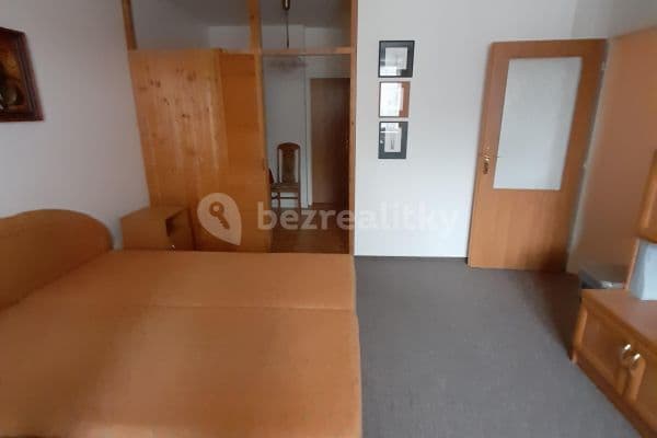 1 bedroom with open-plan kitchen flat to rent, 59 m², Na Panském, Rudná