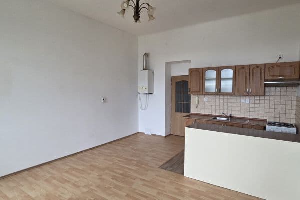 1 bedroom with open-plan kitchen flat to rent, 58 m², Hálkova, Plzeň 1 bedroom with open-plan kitchen flat to rent, 58 m², Hálkova, Plzeň