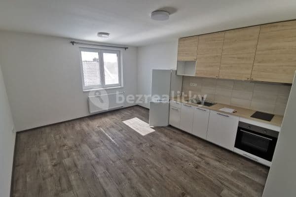 1 bedroom with open-plan kitchen flat to rent, 51 m², Mikšíčkova, Brno