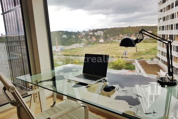 1 bedroom with open-plan kitchen flat to rent, 61 m², Mezi Vodami, Praha 1 bedroom with open-plan kitchen flat to rent, 61 m², Mezi Vodami, Praha