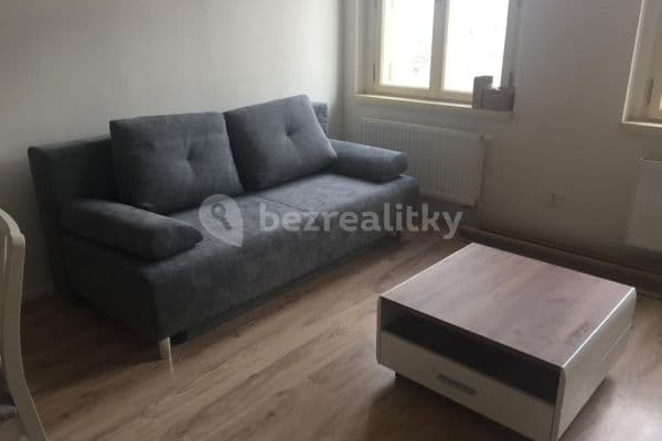 1 bedroom with open-plan kitchen flat to rent, 45 m², Veverkova, Praha 1 bedroom with open-plan kitchen flat to rent, 45 m², Veverkova, Praha