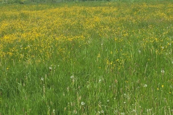 plot for sale, 1,349 m², Tojice plot for sale, 1,349 m², Tojice