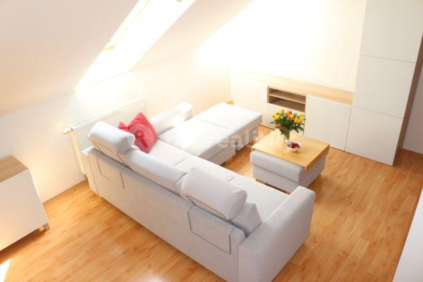 2 bedroom with open-plan kitchen flat to rent, 85 m², Na Plzeňce, Hlavní město Praha