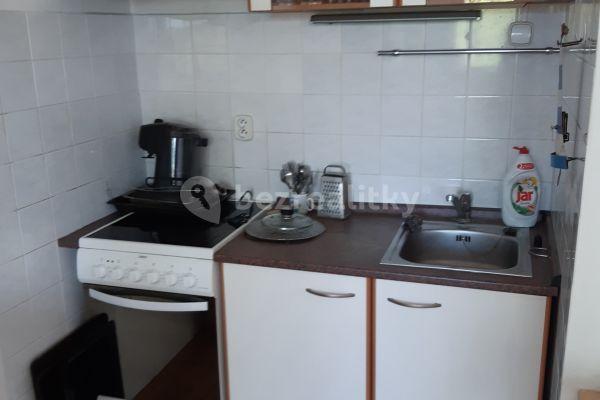 1 bedroom with open-plan kitchen flat to rent, 40 m², Na Žižkově, Liberec, Liberecký Region