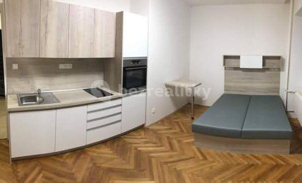 Small studio flat to rent, 26 m², Botanická, Brno