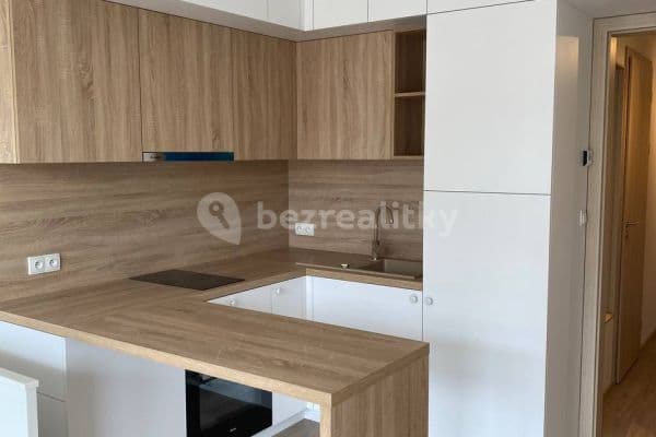 Studio flat to rent, 30 m², Do Zahrádek Ⅰ, Studio flat to rent, 30 m², Do Zahrádek Ⅰ,
