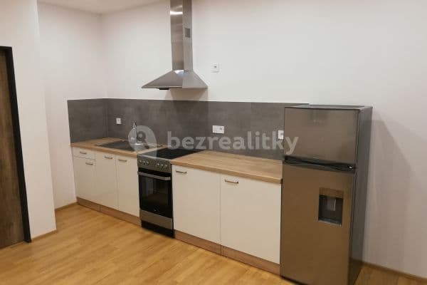 1 bedroom with open-plan kitchen flat to rent, 42 m², Nerudova, Hradec Králové 1 bedroom with open-plan kitchen flat to rent, 42 m², Nerudova, Hradec Králové