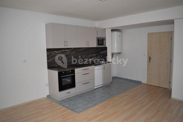 1 bedroom with open-plan kitchen flat to rent, 52 m², Cejl, Brno
