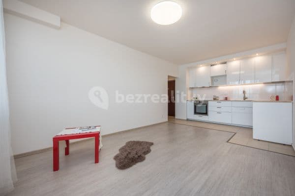 1 bedroom with open-plan kitchen flat to rent, 40 m², Štúrova, Prague, Prague