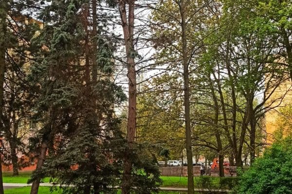 1 bedroom flat to rent, 37 m², Vrchlického, 1 bedroom flat to rent, 37 m², Vrchlického,