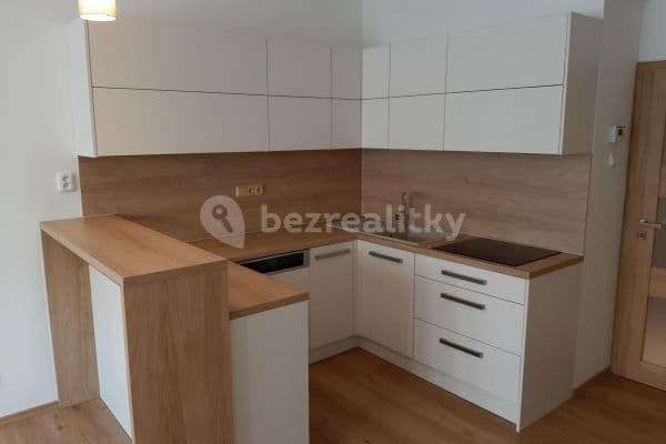 1 bedroom with open-plan kitchen flat to rent, 48 m², Koněvova, Hlavní město Praha 1 bedroom with open-plan kitchen flat to rent, 48 m², Koněvova, Hlavní město Praha