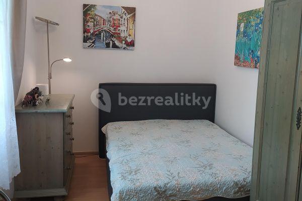 2 bedroom with open-plan kitchen flat to rent, 25 m², Světova, 