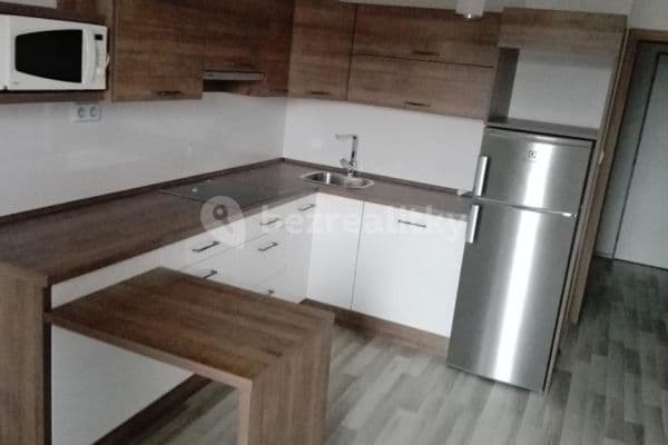 1 bedroom with open-plan kitchen flat to rent, 42 m², Milheimova, Pardubice