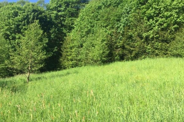 Plot for sale Plot for sale