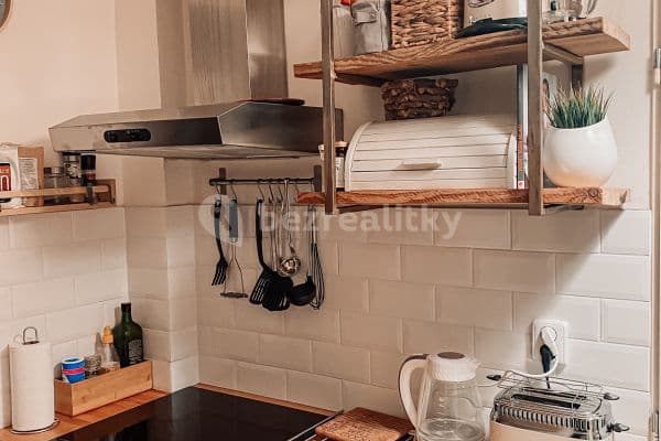 1 bedroom with open-plan kitchen flat to rent, 60 m², Lucemburská, Praha 1 bedroom with open-plan kitchen flat to rent, 60 m², Lucemburská, Praha
