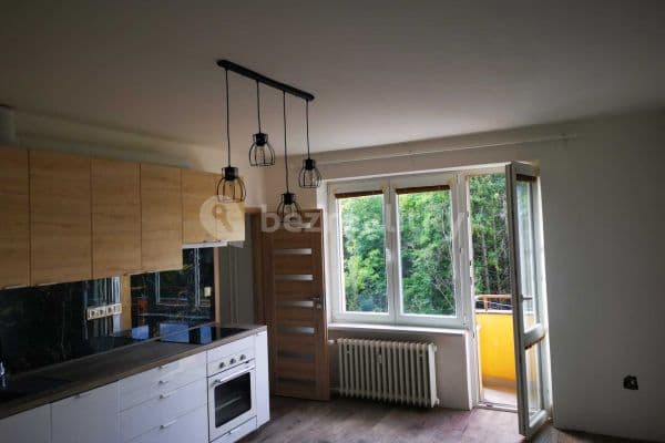 1 bedroom with open-plan kitchen flat to rent, 39 m², Úvoz, Brno 1 bedroom with open-plan kitchen flat to rent, 39 m², Úvoz, Brno