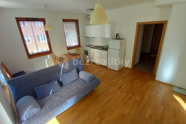 1 bedroom with open-plan kitchen flat to rent, 42 m², U Hranic, Praha 1 bedroom with open-plan kitchen flat to rent, 42 m², U Hranic, Praha