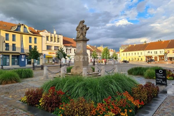 Studio flat to rent, 55 m², Masarykovo náměstí, Brandýs nad Labem-Stará Boleslav Studio flat to rent, 55 m², Masarykovo náměstí, Brandýs nad Labem-Stará Boleslav