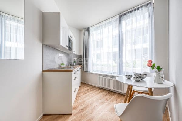 1 bedroom with open-plan kitchen flat to rent, 22 m², Mukařovského, Hlavní město Praha