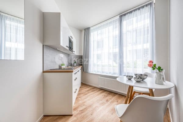 1 bedroom with open-plan kitchen flat to rent, 22 m², Mukařovského, Hlavní město Praha 1 bedroom with open-plan kitchen flat to rent, 22 m², Mukařovského, Hlavní město Praha