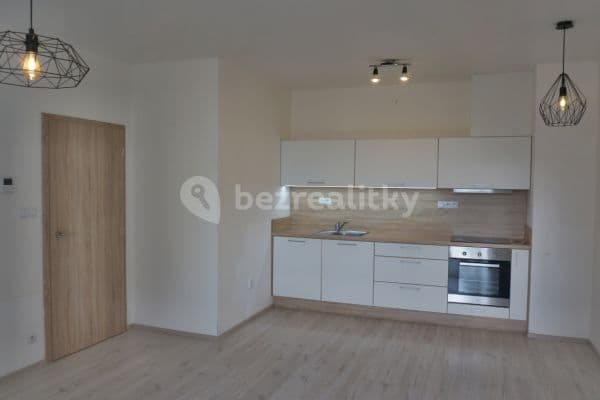 1 bedroom with open-plan kitchen flat to rent, 57 m², Chudčická, Brno, Jihomoravský Region