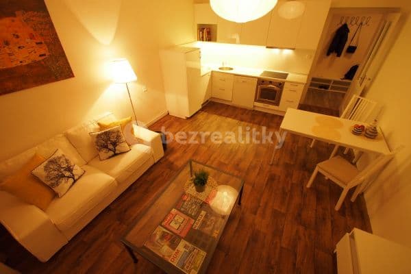 1 bedroom with open-plan kitchen flat to rent, 45 m², U Družstva Ideál, Prague, Prague