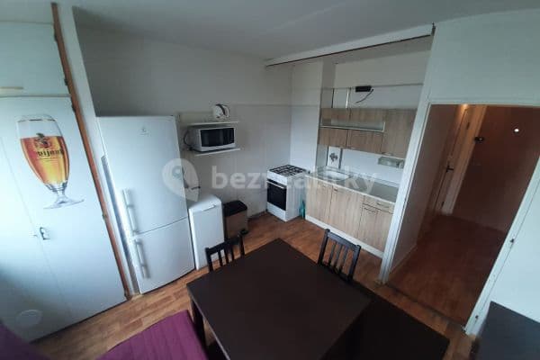 1 bedroom with open-plan kitchen flat to rent, 33 m², Herčíkova, Brno