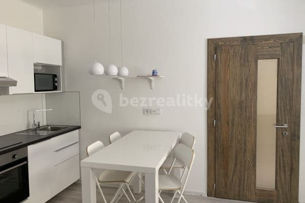 1 bedroom with open-plan kitchen flat to rent, 49 m², Bořivojova, Praha 1 bedroom with open-plan kitchen flat to rent, 49 m², Bořivojova, Praha