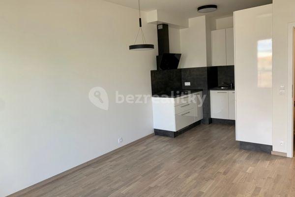 1 bedroom with open-plan kitchen flat to rent, 50 m², Saarinenova, Praha