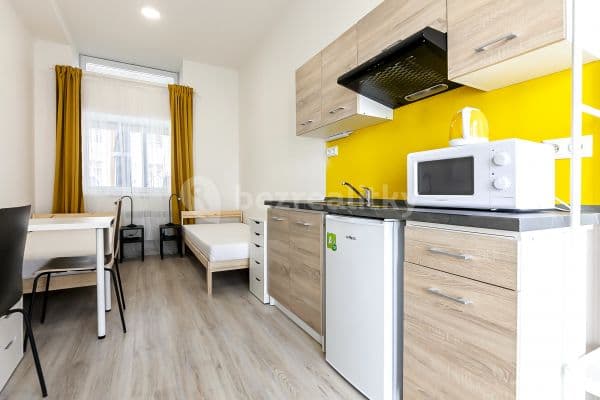 Studio flat to rent, 19 m², Václavská, Brno, Jihomoravský Region Studio flat to rent, 19 m², Václavská, Brno, Jihomoravský Region