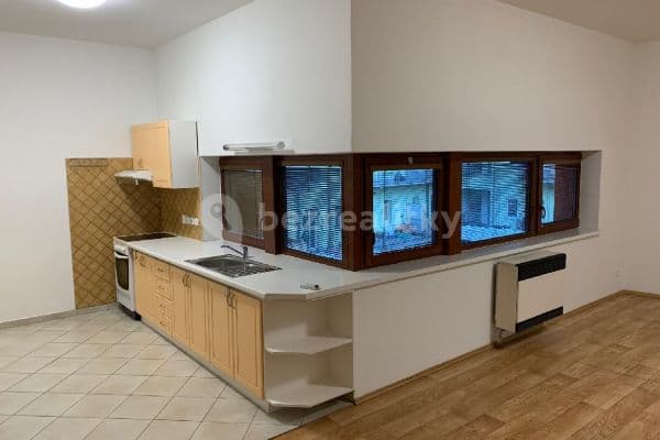 1 bedroom with open-plan kitchen flat to rent, 75 m², Lidická, Brno 1 bedroom with open-plan kitchen flat to rent, 75 m², Lidická, Brno