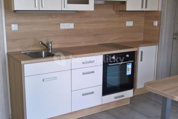 1 bedroom with open-plan kitchen flat to rent, 34 m², Slepá, Milovice