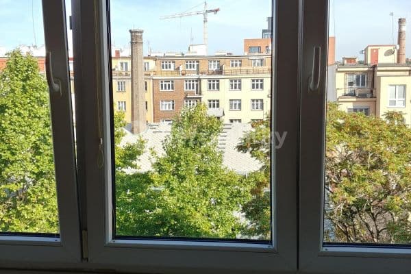 1 bedroom with open-plan kitchen flat to rent, 47 m², Dělnická, Praha 1 bedroom with open-plan kitchen flat to rent, 47 m², Dělnická, Praha