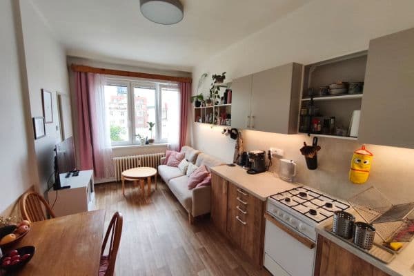 1 bedroom with open-plan kitchen flat to rent, 47 m², Dělnická, Praha 1 bedroom with open-plan kitchen flat to rent, 47 m², Dělnická, Praha