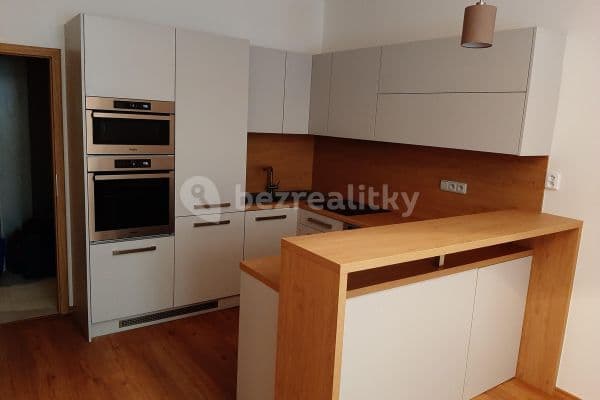 1 bedroom with open-plan kitchen flat to rent, 51 m², Písecká, Prague, Prague