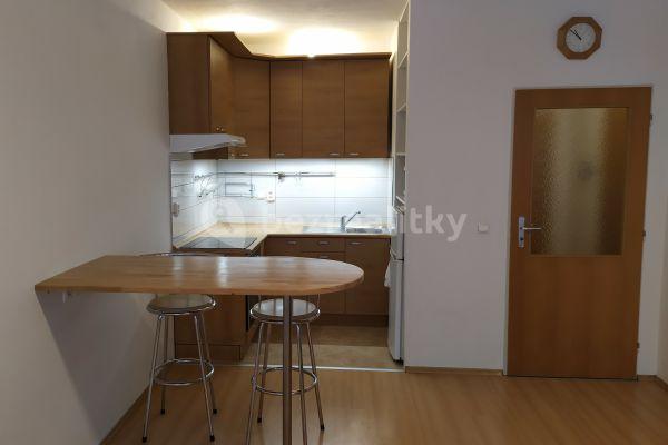 1 bedroom with open-plan kitchen flat to rent, 45 m², Kurta Konráda, Hlavní město Praha