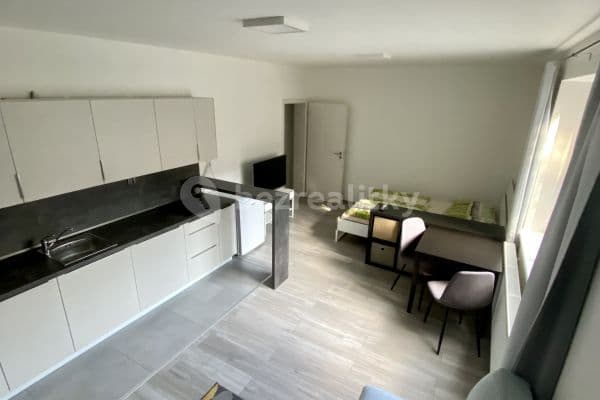 Studio flat to rent, 30 m², Hlavní, Brno, Jihomoravský Region