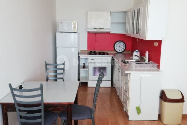 1 bedroom with open-plan kitchen flat to rent, 43 m², Masarykova, Kolín, Středočeský Region