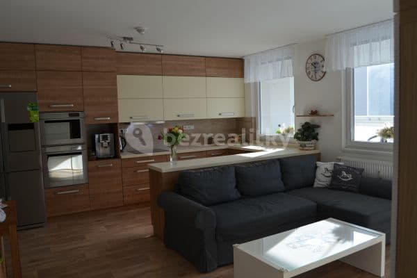 3 bedroom with open-plan kitchen flat to rent, 100 m², Barunčina, Praha 3 bedroom with open-plan kitchen flat to rent, 100 m², Barunčina, Praha