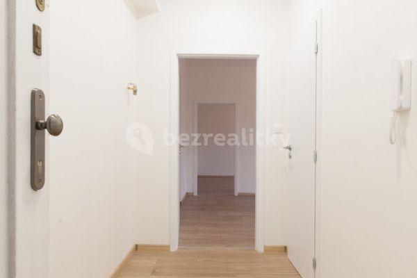 1 bedroom with open-plan kitchen flat to rent, 60 m², U Družstva Život, Hlavní město Praha