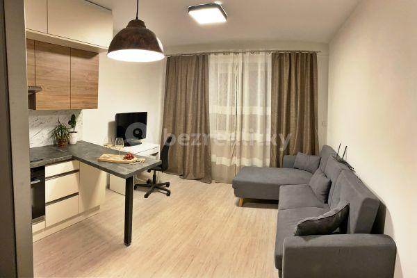 1 bedroom with open-plan kitchen flat to rent, 46 m², Letní, Brno