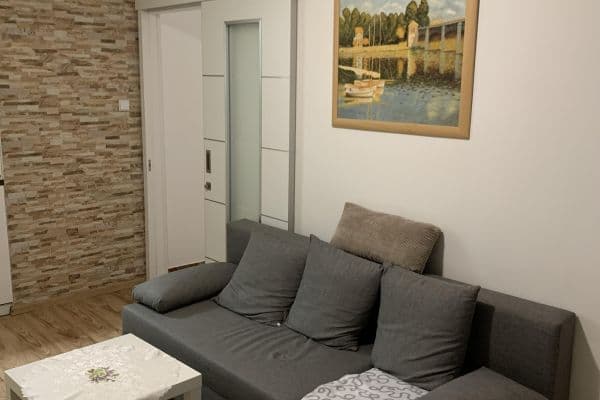 1 bedroom with open-plan kitchen flat to rent, 45 m², Teplická, Praha 1 bedroom with open-plan kitchen flat to rent, 45 m², Teplická, Praha