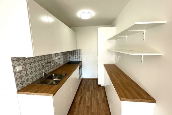 1 bedroom with open-plan kitchen flat to rent, 45 m², Trávníčkova, Prague, Prague