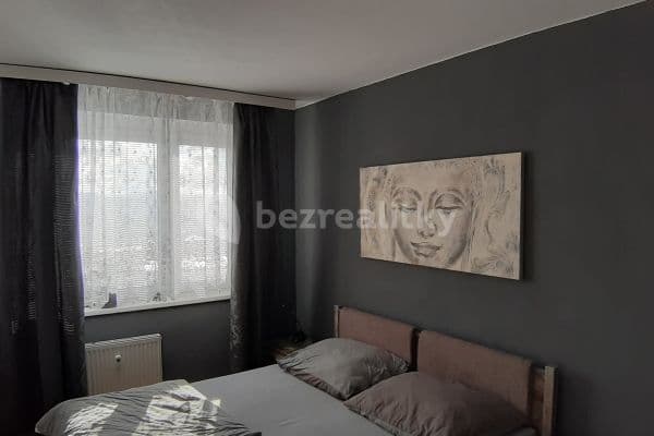 1 bedroom with open-plan kitchen flat to rent, 40 m², Brandtova, Ústí nad Labem, Ústecký Region