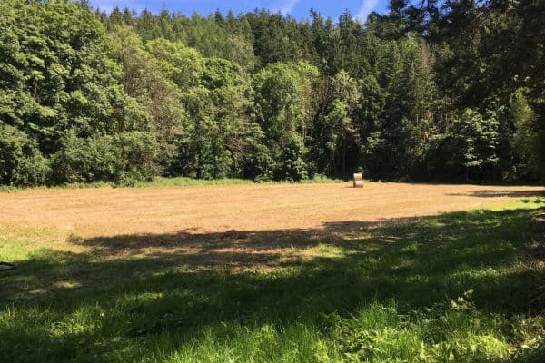 plot for sale, 6,060 m², Hlavní, plot for sale, 6,060 m², Hlavní,